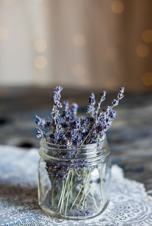 The 5 Amazing Benefits of Lavender