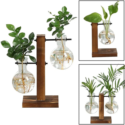 Glass Terrarium Hydroponic Plant Vase