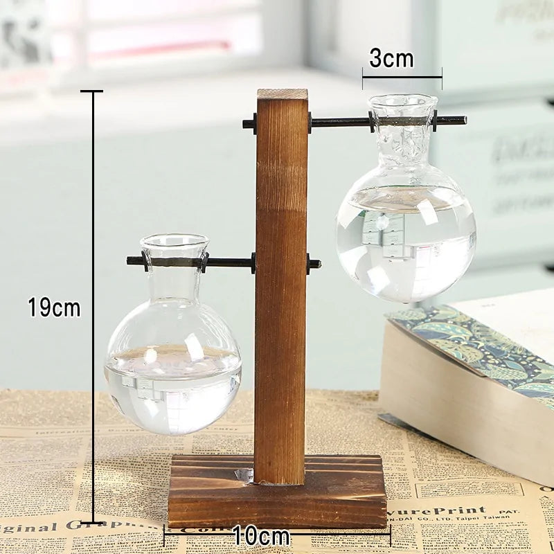 Glass Hydroponic Bulb Plant Vase