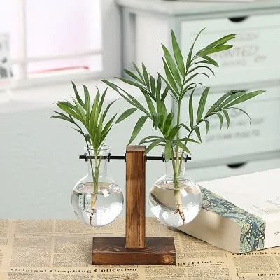Glass Hydroponic Bulb Plant Vase