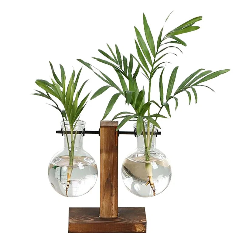 Glass Terrarium Hydroponic Plant Vase