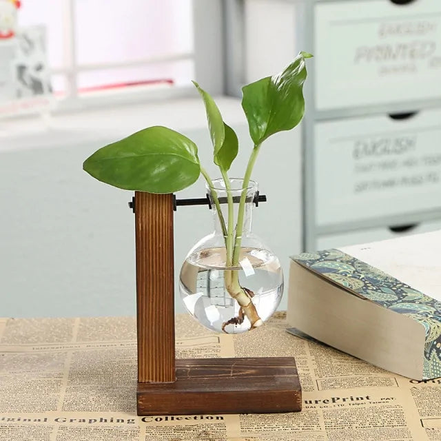 Glass Hydroponic Bulb Plant Vase