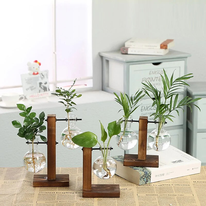 Glass Terrarium Hydroponic Plant Vase