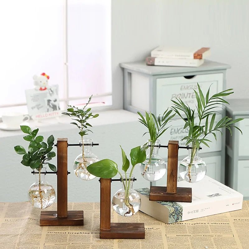 Glass Hydroponic Bulb Plant Vase