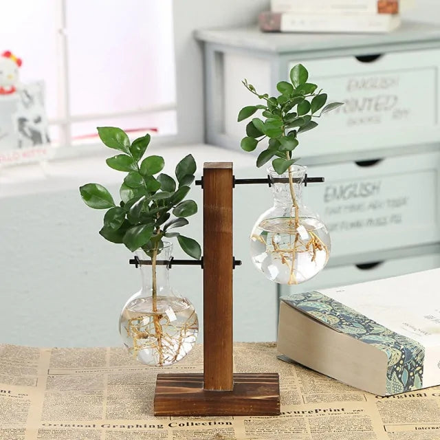 Glass Hydroponic Bulb Plant Vase