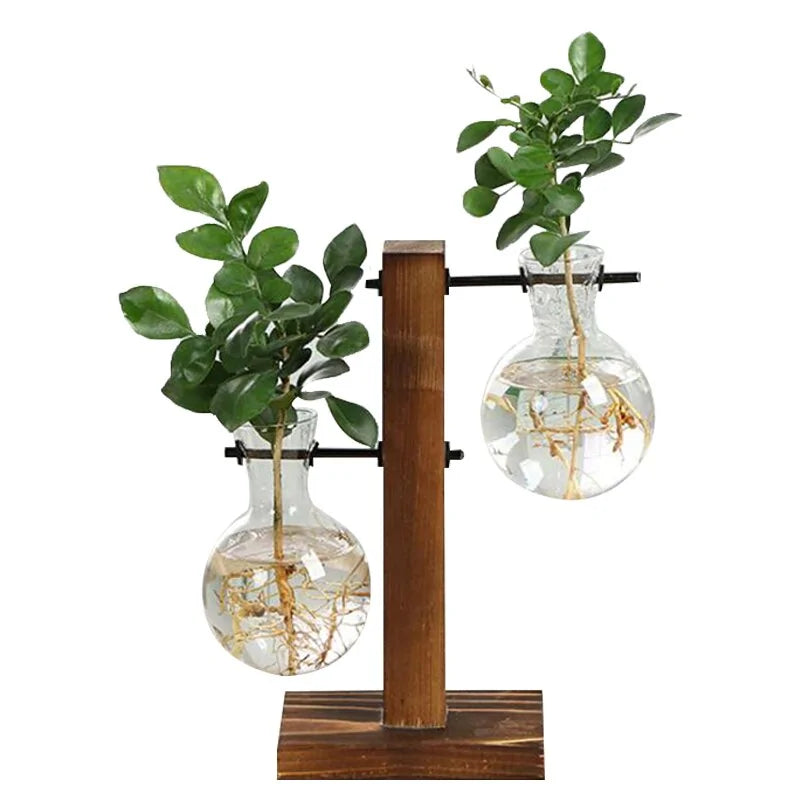 Glass Terrarium Hydroponic Plant Vase