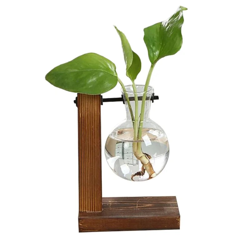 Glass Terrarium Hydroponic Plant Vase